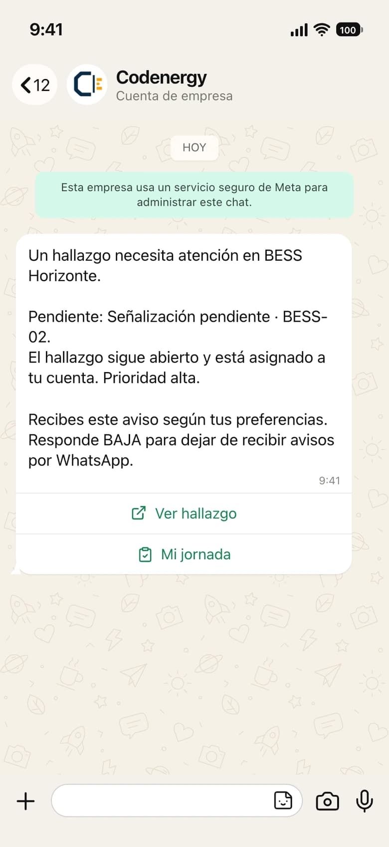 Preview of a Codenergy WhatsApp notice: an assigned punch list finding that needs attention